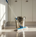 Standard Cleaning